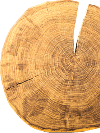 切れ目のある木材の断面